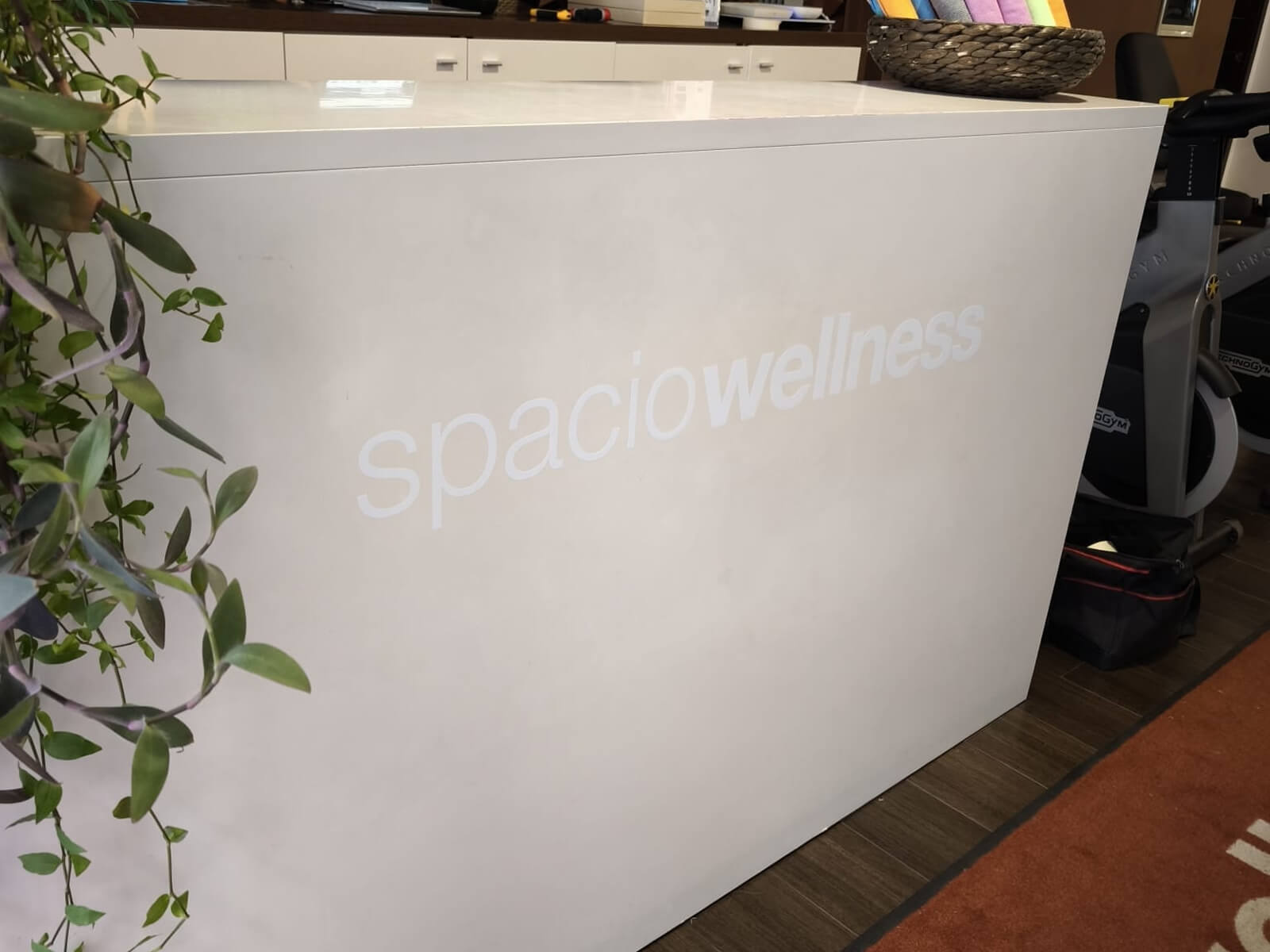 Spacio Wellness