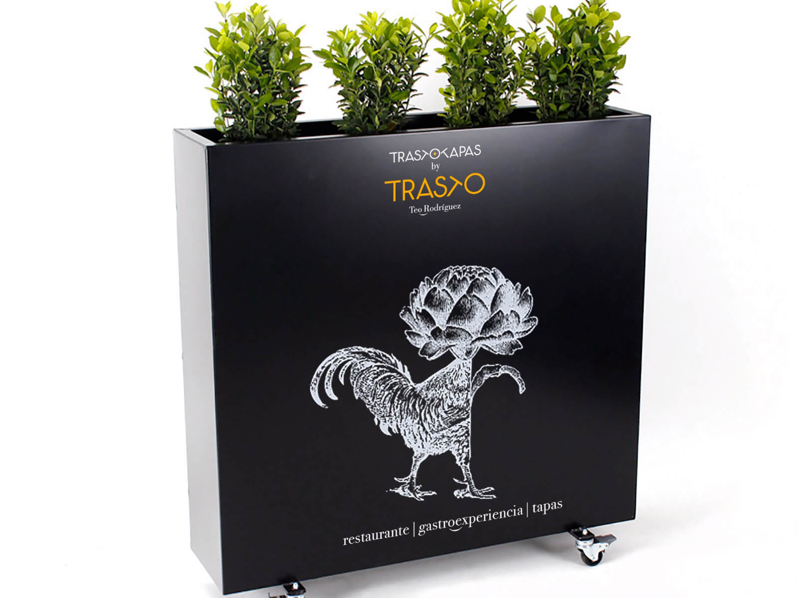 Trasto Restaurante